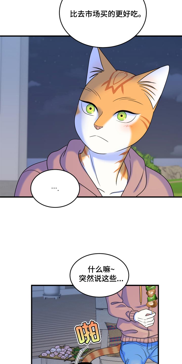 《灵猫欧米伽》漫画最新章节第93章：【第二季】希望尽早离开这里免费下拉式在线观看章节第【13】张图片