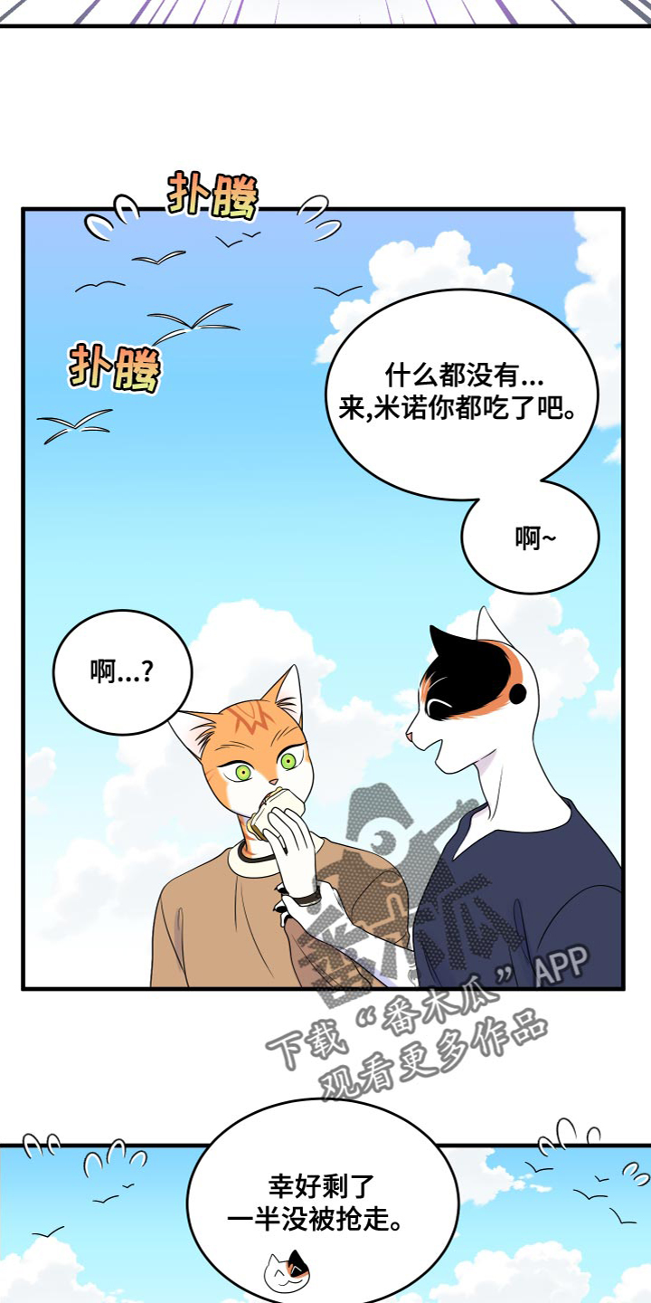 《灵猫欧米伽》漫画最新章节第94章：【第二季】三明治免费下拉式在线观看章节第【14】张图片