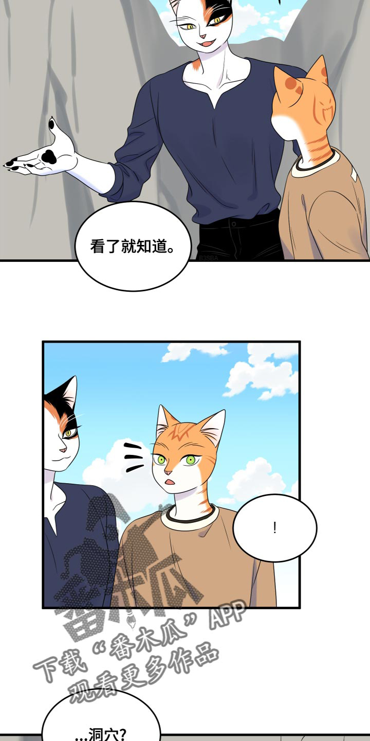 《灵猫欧米伽》漫画最新章节第94章：【第二季】三明治免费下拉式在线观看章节第【12】张图片