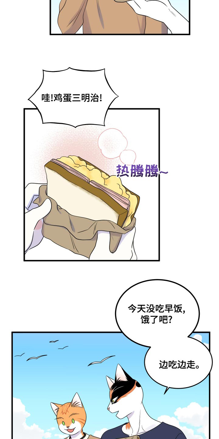 灵猫欧米伽-第94章：【第二季】三明治全彩韩漫标签