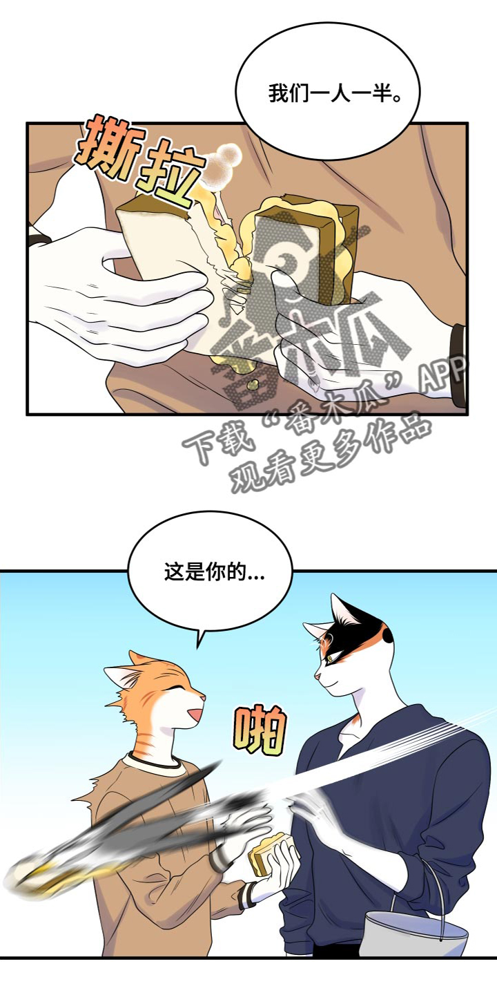 《灵猫欧米伽》漫画最新章节第94章：【第二季】三明治免费下拉式在线观看章节第【18】张图片