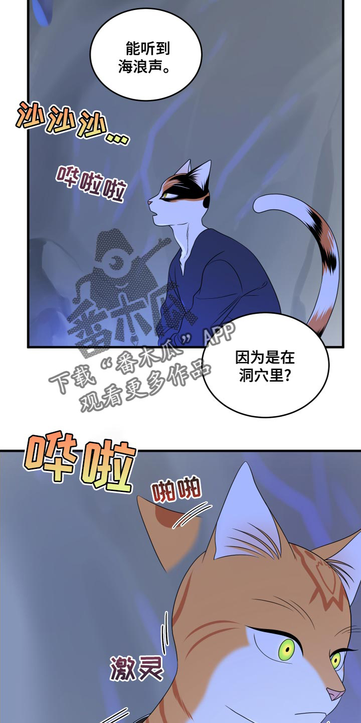 《灵猫欧米伽》漫画最新章节第95章：【第二季】害怕洞穴免费下拉式在线观看章节第【17】张图片