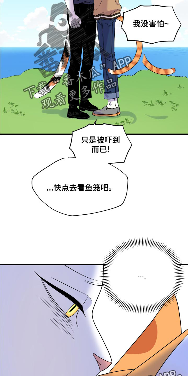 《灵猫欧米伽》漫画最新章节第95章：【第二季】害怕洞穴免费下拉式在线观看章节第【2】张图片