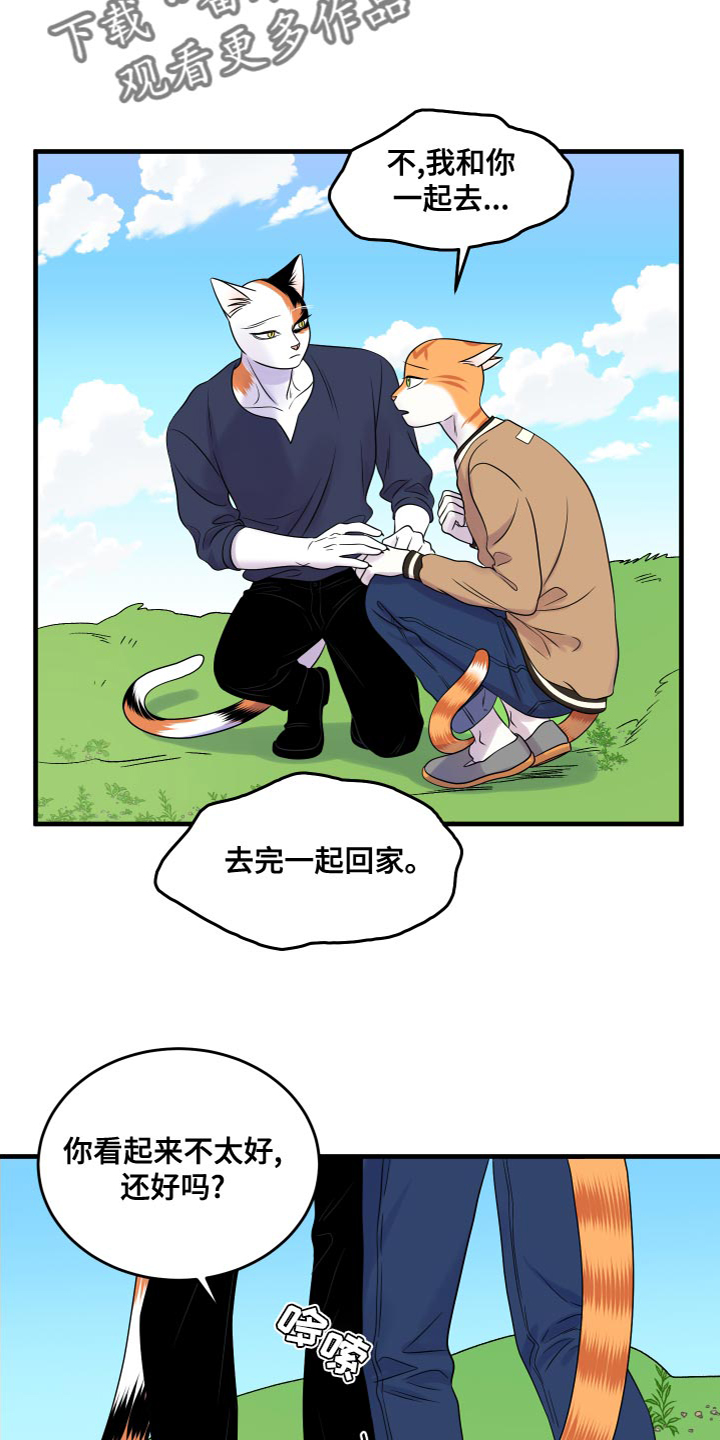 《灵猫欧米伽》漫画最新章节第95章：【第二季】害怕洞穴免费下拉式在线观看章节第【4】张图片