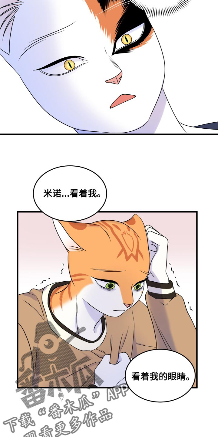 《灵猫欧米伽》漫画最新章节第95章：【第二季】害怕洞穴免费下拉式在线观看章节第【8】张图片