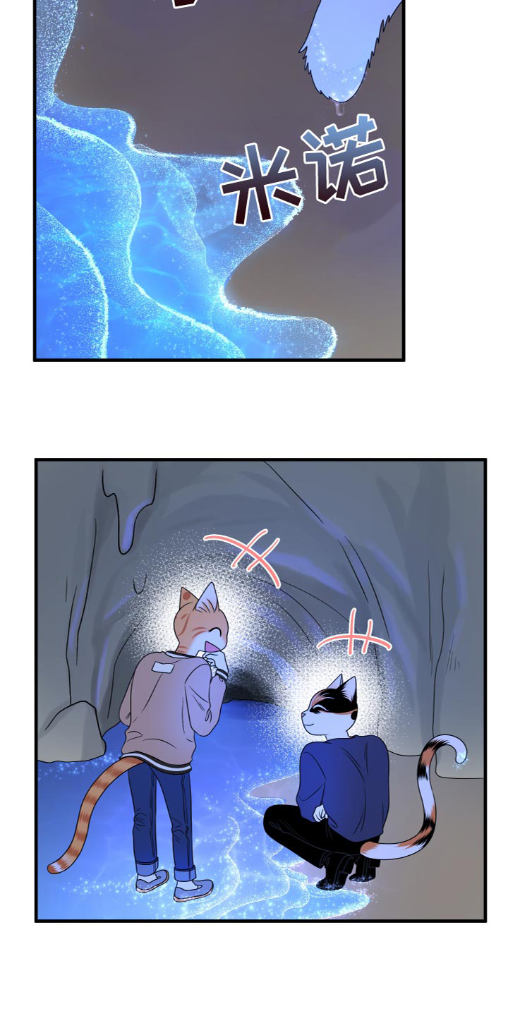 灵猫欧米伽-第95章：【第二季】害怕洞穴全彩韩漫标签