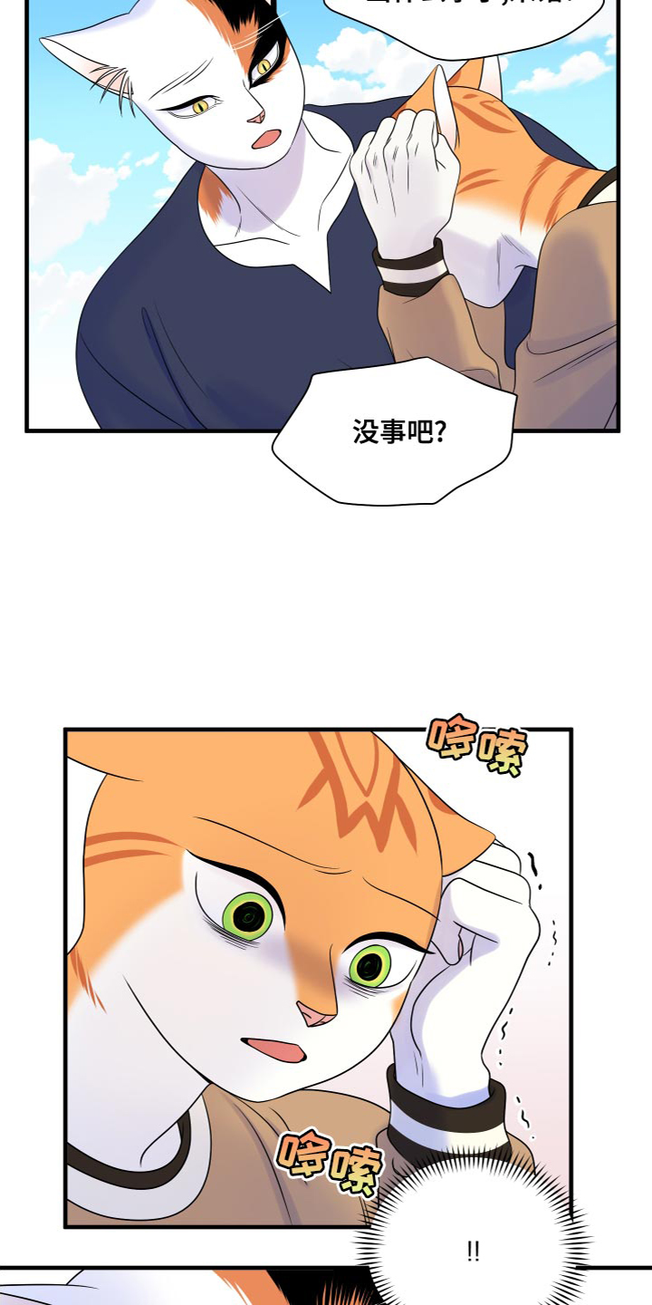 《灵猫欧米伽》漫画最新章节第95章：【第二季】害怕洞穴免费下拉式在线观看章节第【9】张图片