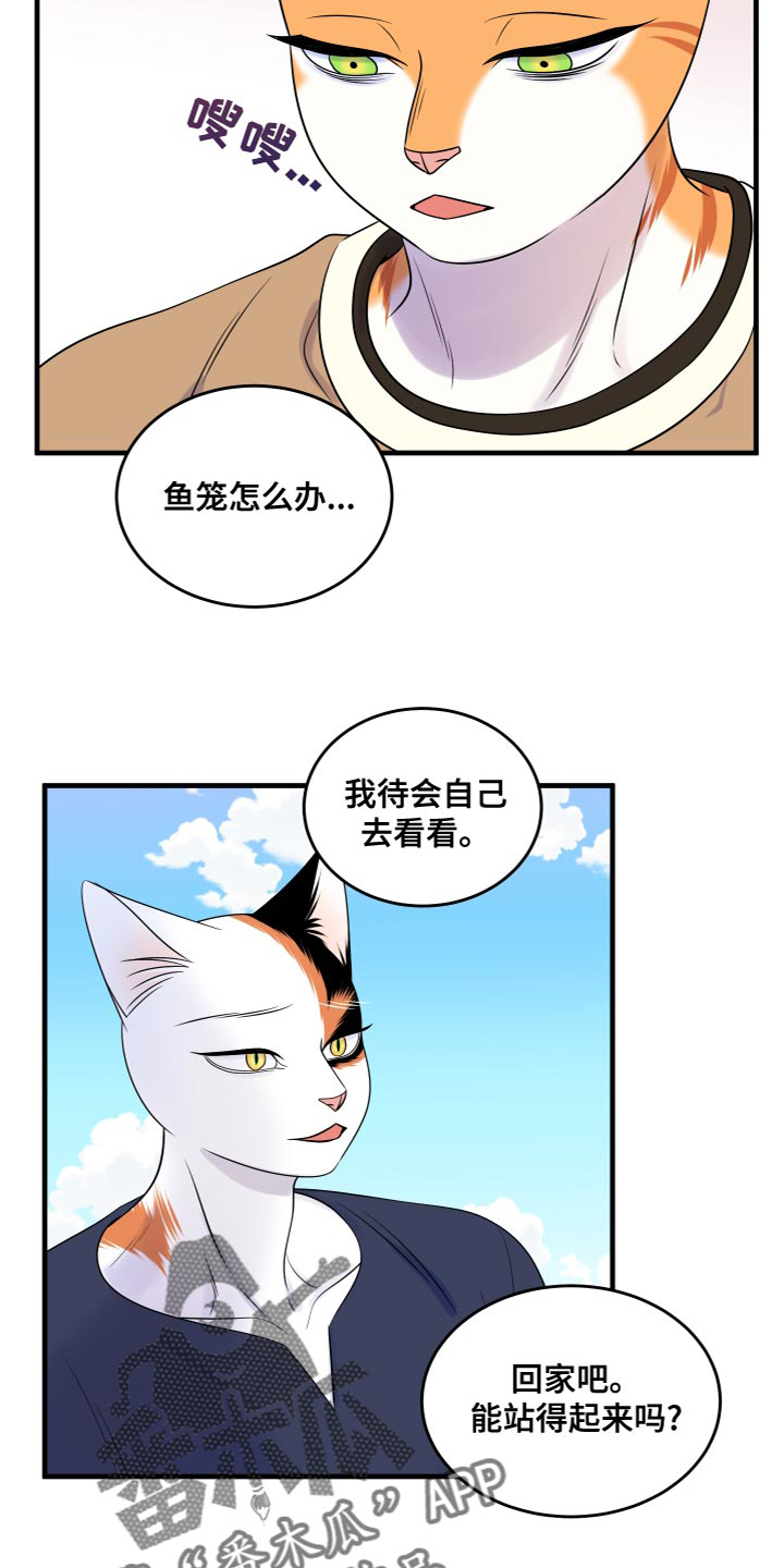 《灵猫欧米伽》漫画最新章节第95章：【第二季】害怕洞穴免费下拉式在线观看章节第【5】张图片