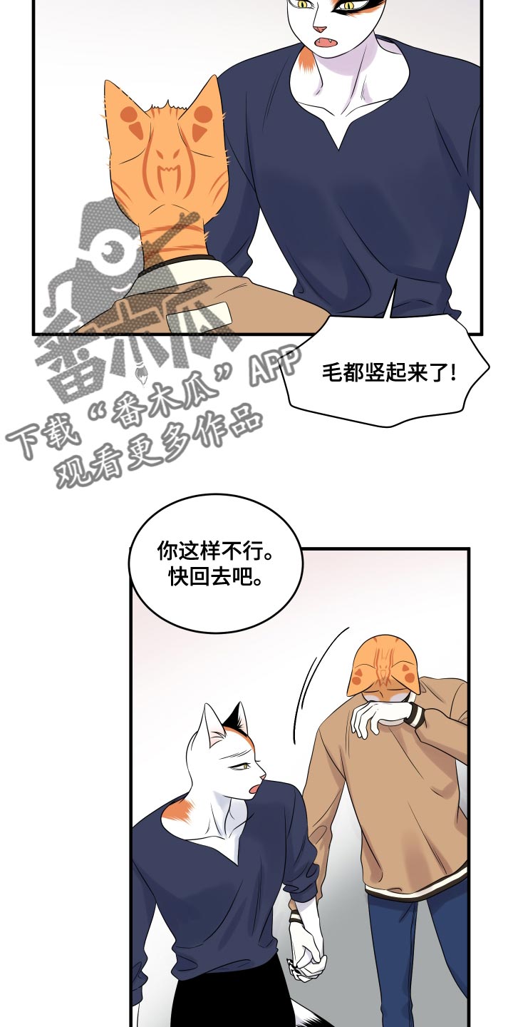 《灵猫欧米伽》漫画最新章节第96章：【第二季】海浪声好吵免费下拉式在线观看章节第【10】张图片