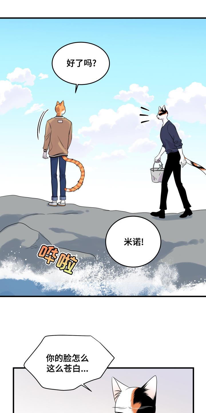 《灵猫欧米伽》漫画最新章节第96章：【第二季】海浪声好吵免费下拉式在线观看章节第【11】张图片