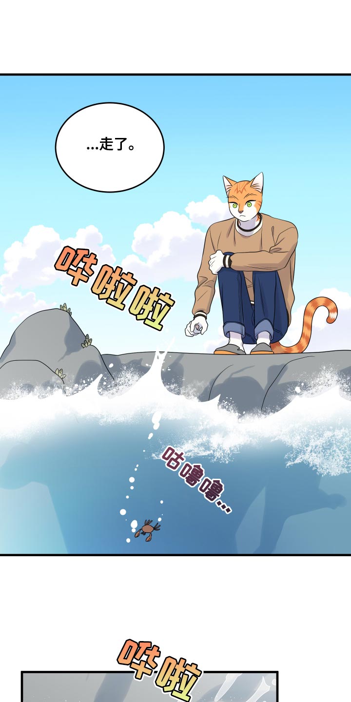 《灵猫欧米伽》漫画最新章节第96章：【第二季】海浪声好吵免费下拉式在线观看章节第【17】张图片