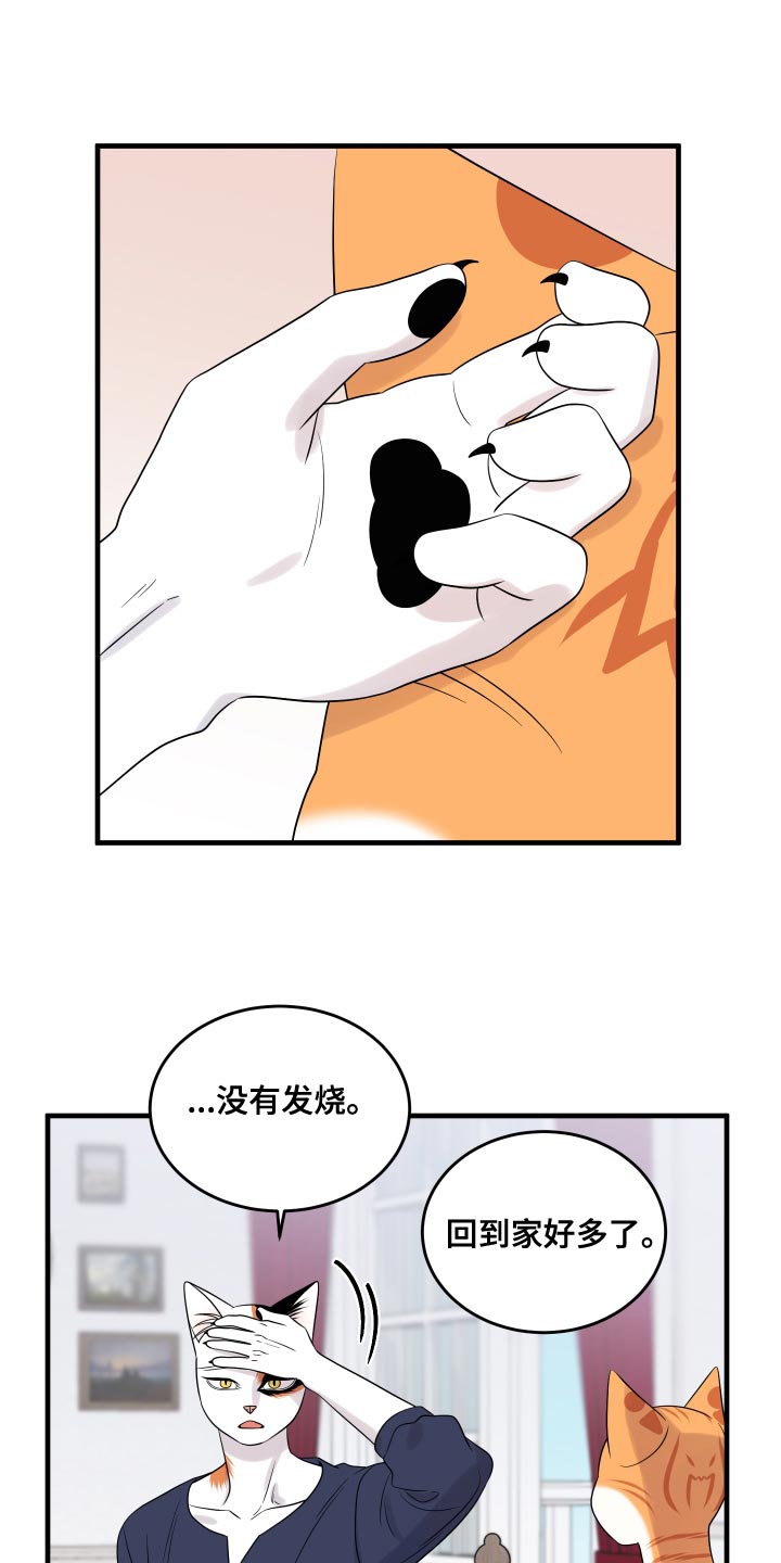 《灵猫欧米伽》漫画最新章节第96章：【第二季】海浪声好吵免费下拉式在线观看章节第【8】张图片