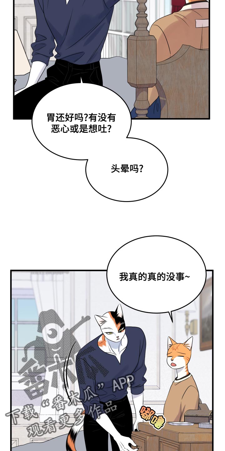 《灵猫欧米伽》漫画最新章节第96章：【第二季】海浪声好吵免费下拉式在线观看章节第【7】张图片