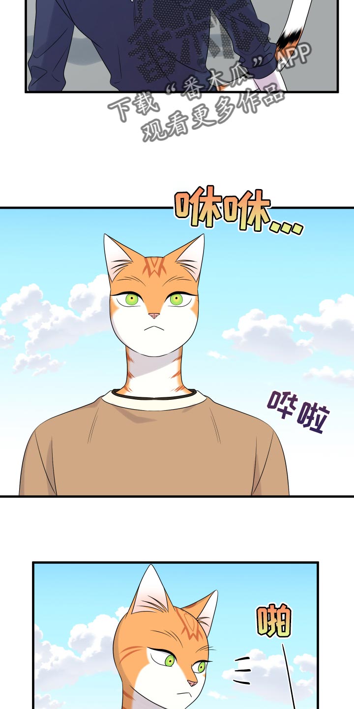 《灵猫欧米伽》漫画最新章节第96章：【第二季】海浪声好吵免费下拉式在线观看章节第【22】张图片