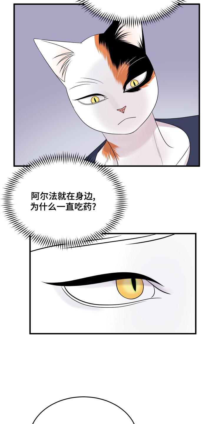 《灵猫欧米伽》漫画最新章节第96章：【第二季】海浪声好吵免费下拉式在线观看章节第【5】张图片