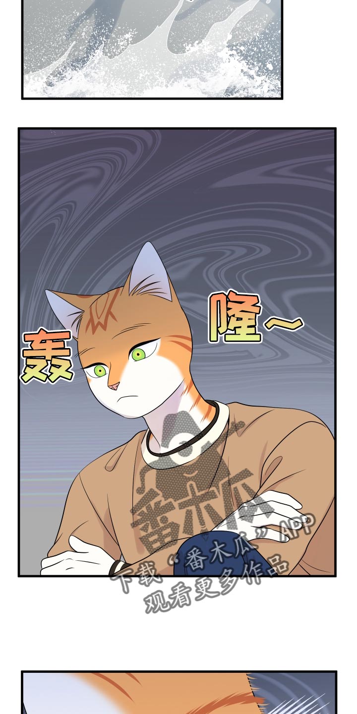 《灵猫欧米伽》漫画最新章节第96章：【第二季】海浪声好吵免费下拉式在线观看章节第【16】张图片