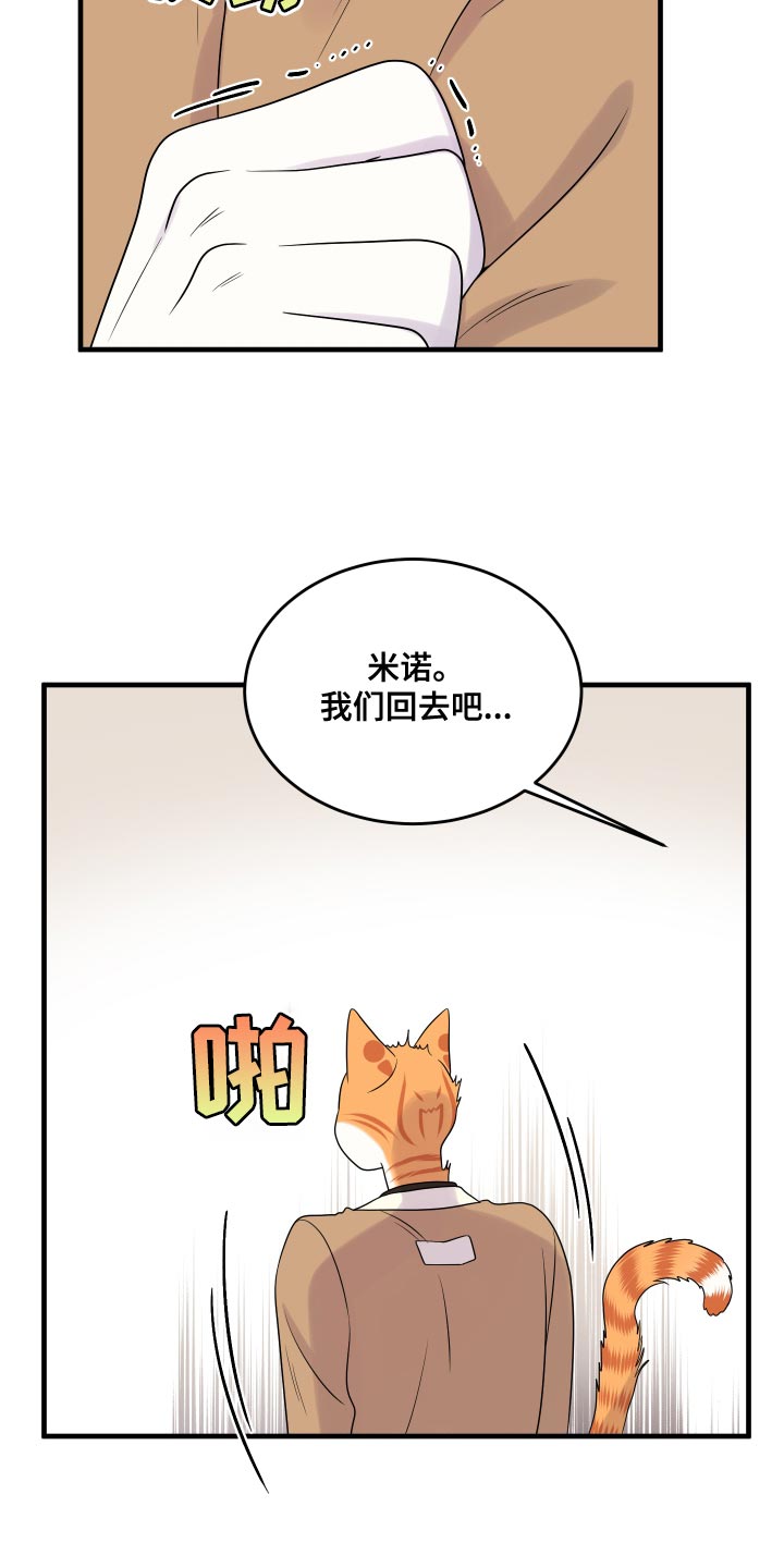 《灵猫欧米伽》漫画最新章节第96章：【第二季】海浪声好吵免费下拉式在线观看章节第【12】张图片