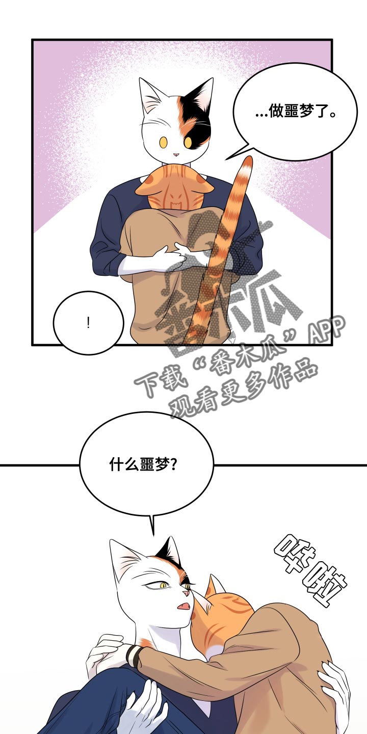 《灵猫欧米伽》漫画最新章节第97章：【第二季】噩梦免费下拉式在线观看章节第【5】张图片