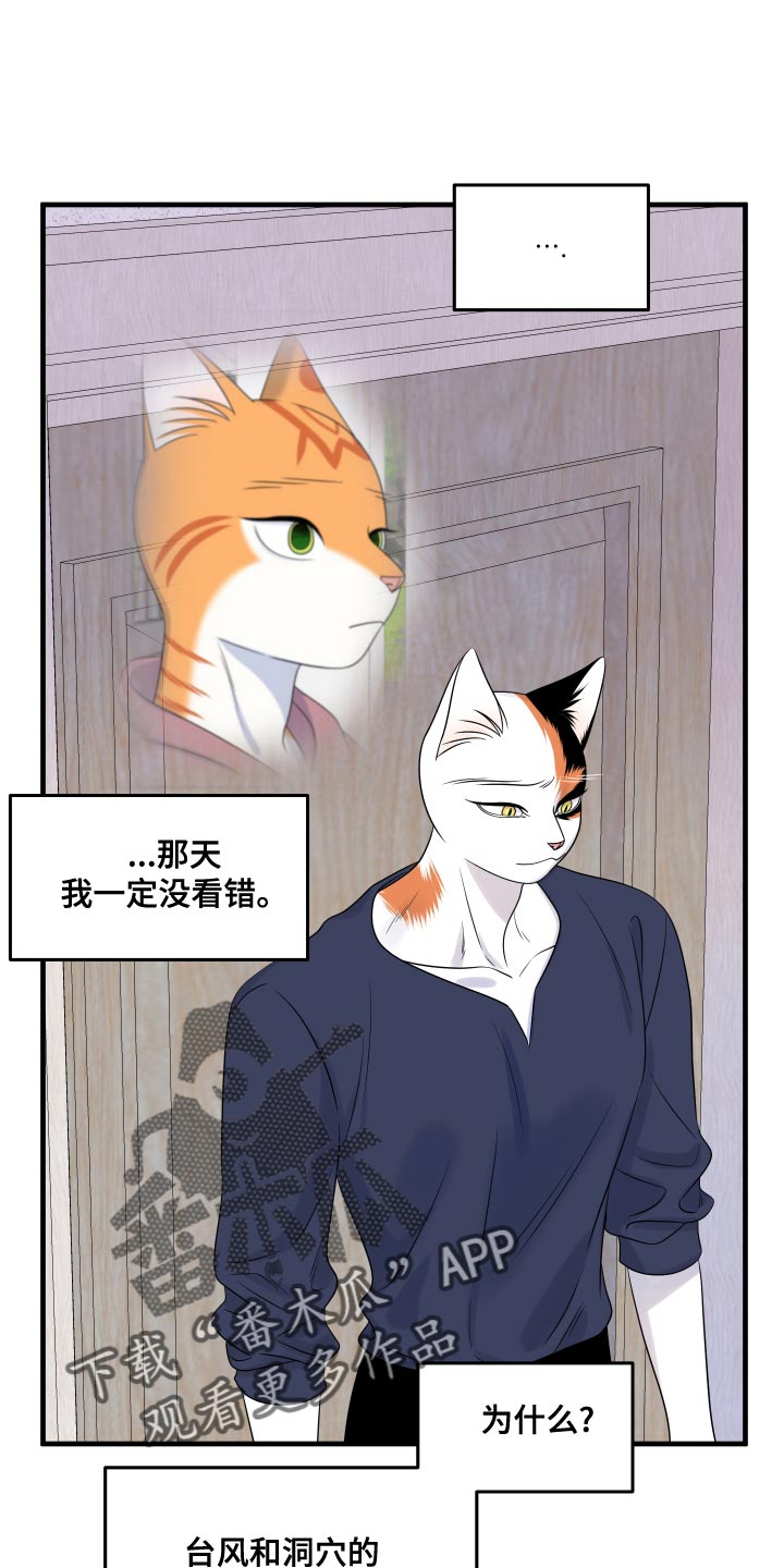 《灵猫欧米伽》漫画最新章节第97章：【第二季】噩梦免费下拉式在线观看章节第【29】张图片