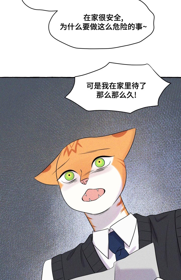 《灵猫欧米伽》漫画最新章节第97章：【第二季】噩梦免费下拉式在线观看章节第【22】张图片