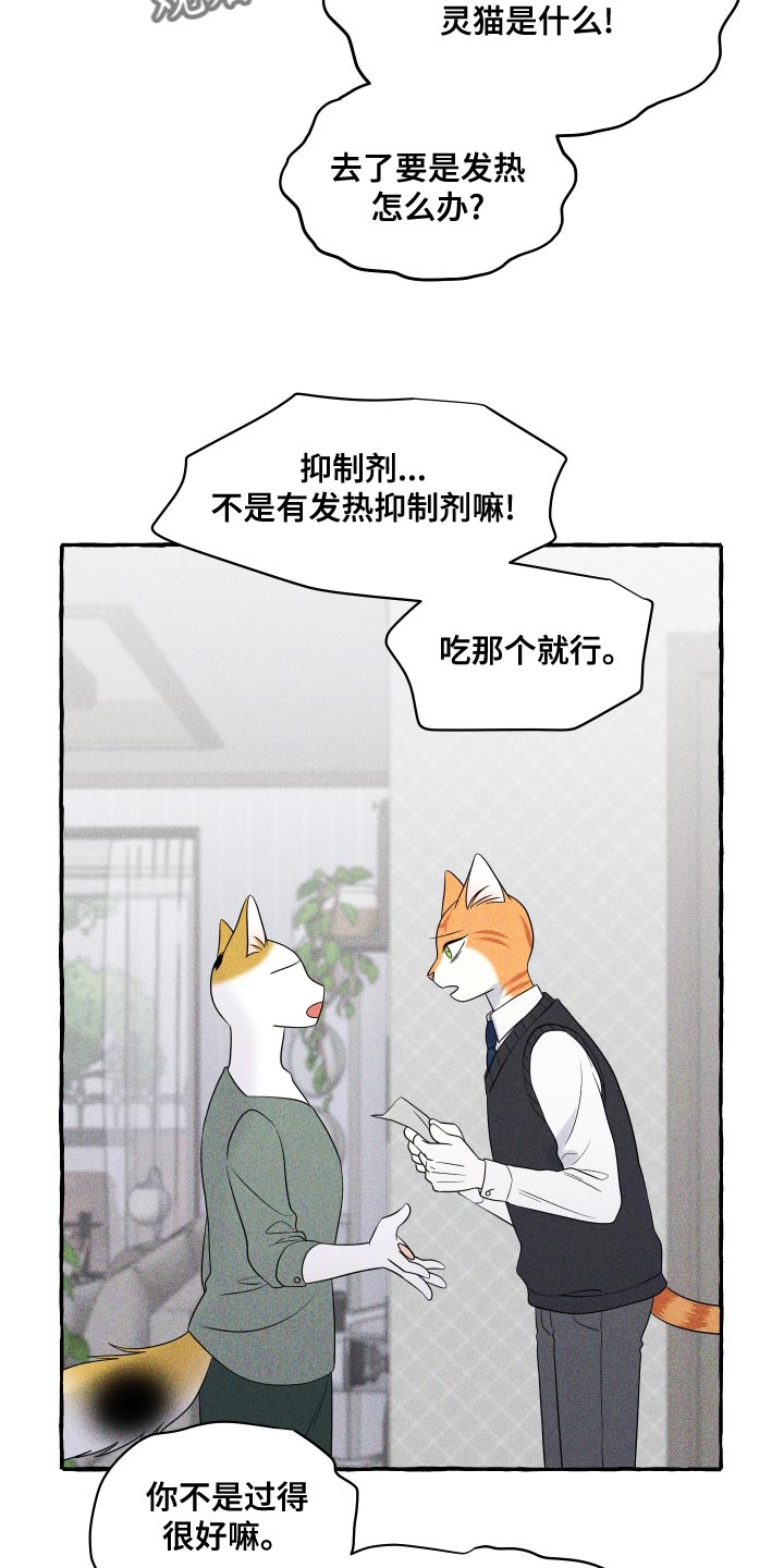 《灵猫欧米伽》漫画最新章节第97章：【第二季】噩梦免费下拉式在线观看章节第【23】张图片