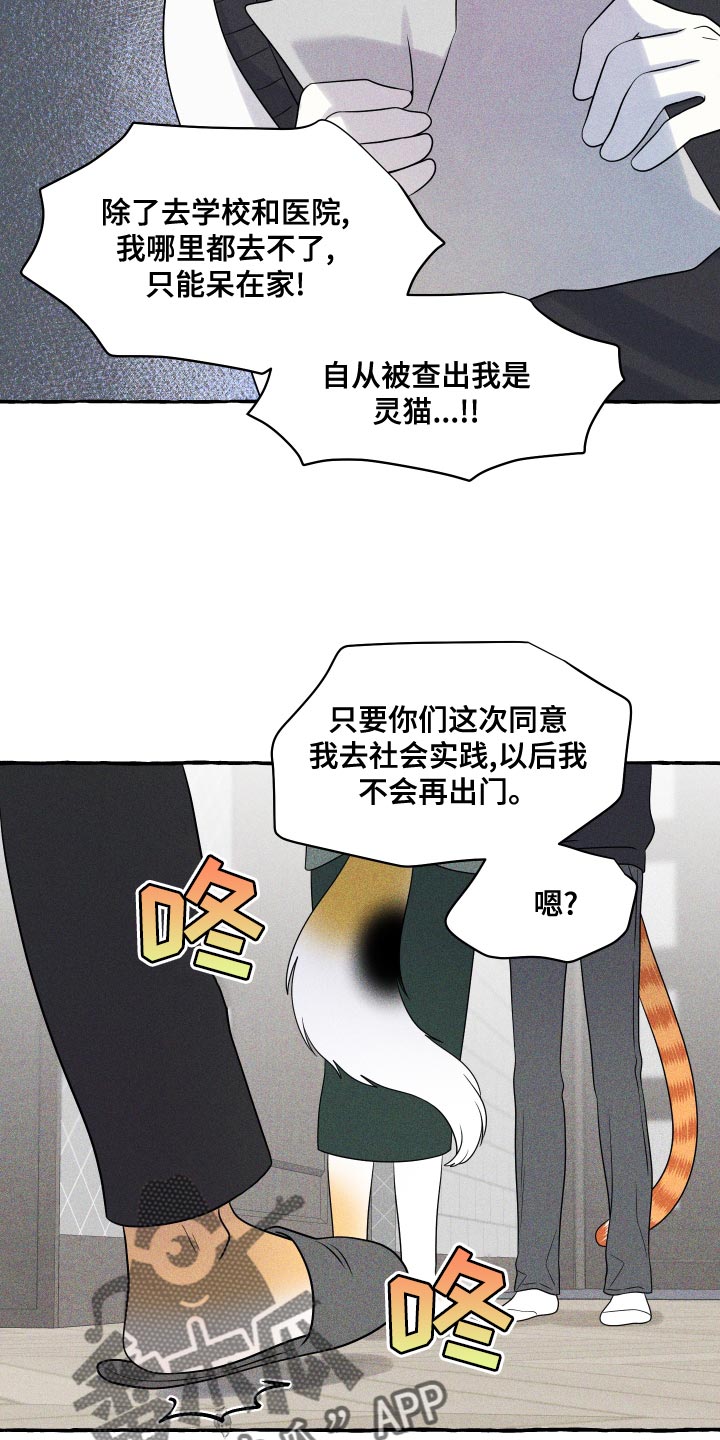 《灵猫欧米伽》漫画最新章节第97章：【第二季】噩梦免费下拉式在线观看章节第【21】张图片