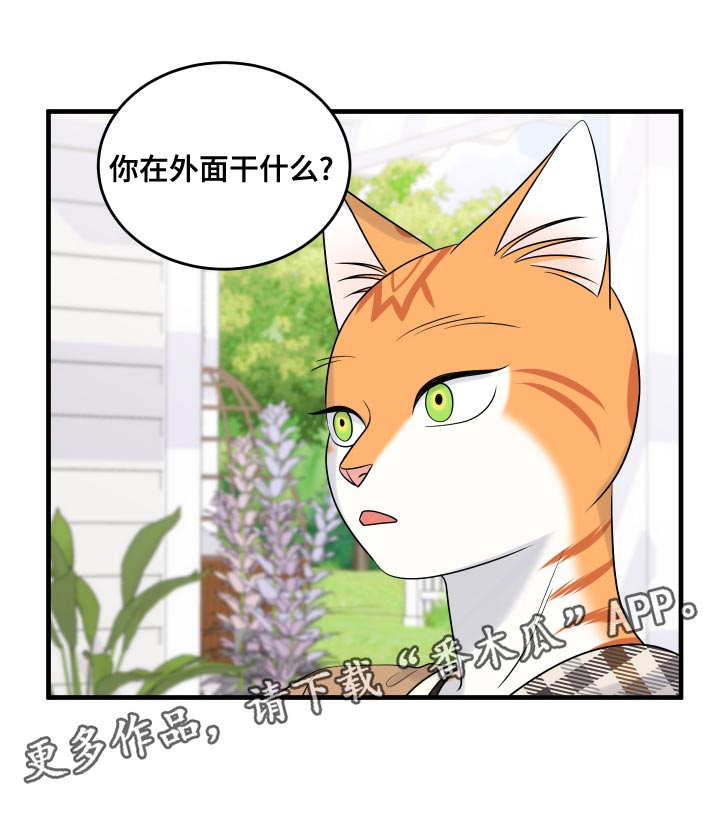 《灵猫欧米伽》漫画最新章节第97章：【第二季】噩梦免费下拉式在线观看章节第【1】张图片