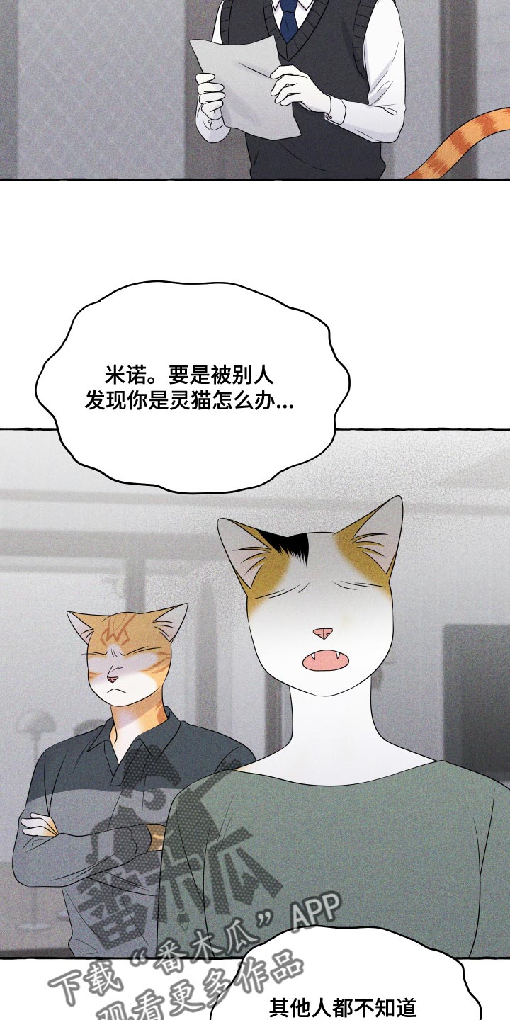 《灵猫欧米伽》漫画最新章节第97章：【第二季】噩梦免费下拉式在线观看章节第【24】张图片