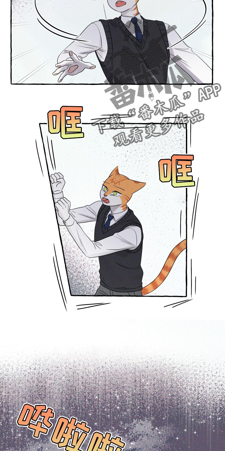 《灵猫欧米伽》漫画最新章节第97章：【第二季】噩梦免费下拉式在线观看章节第【17】张图片