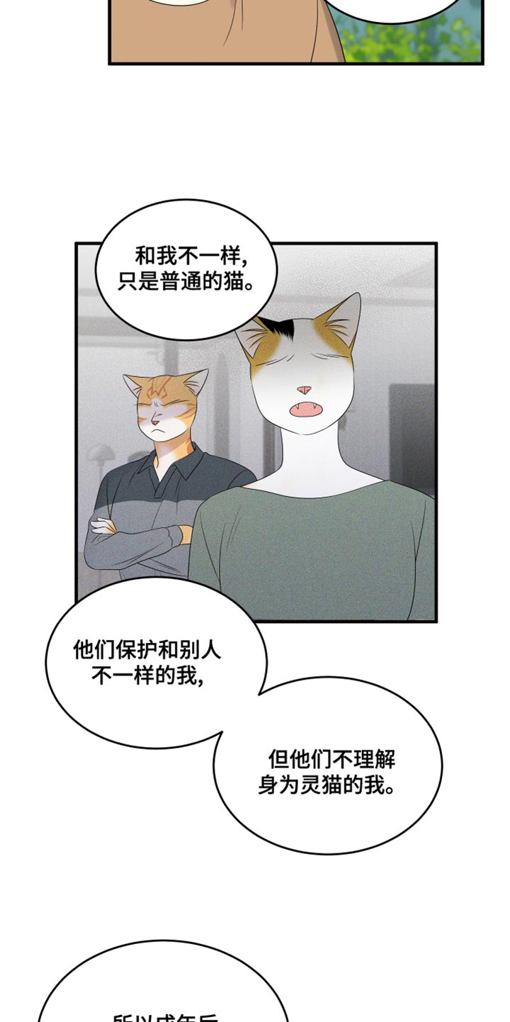 《灵猫欧米伽》漫画最新章节第98章：【第二季】想回去免费下拉式在线观看章节第【23】张图片