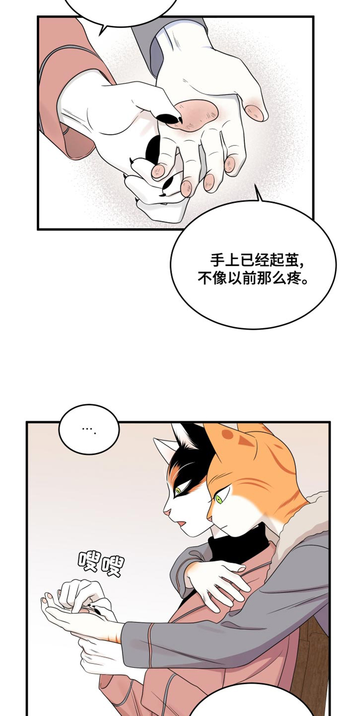 《灵猫欧米伽》漫画最新章节第98章：【第二季】想回去免费下拉式在线观看章节第【3】张图片