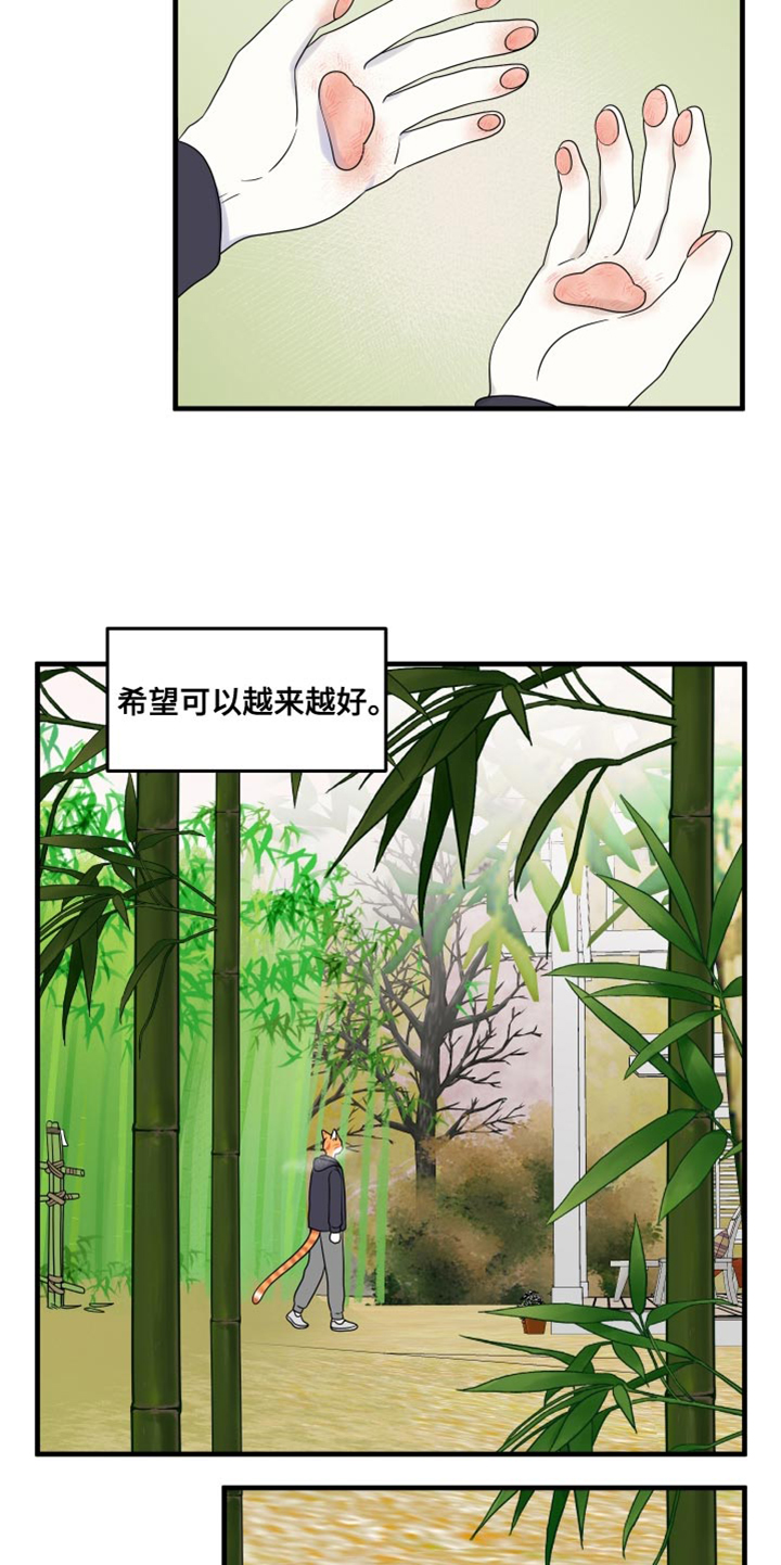 《灵猫欧米伽》漫画最新章节第98章：【第二季】想回去免费下拉式在线观看章节第【7】张图片