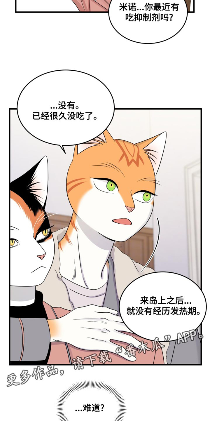 《灵猫欧米伽》漫画最新章节第98章：【第二季】想回去免费下拉式在线观看章节第【2】张图片