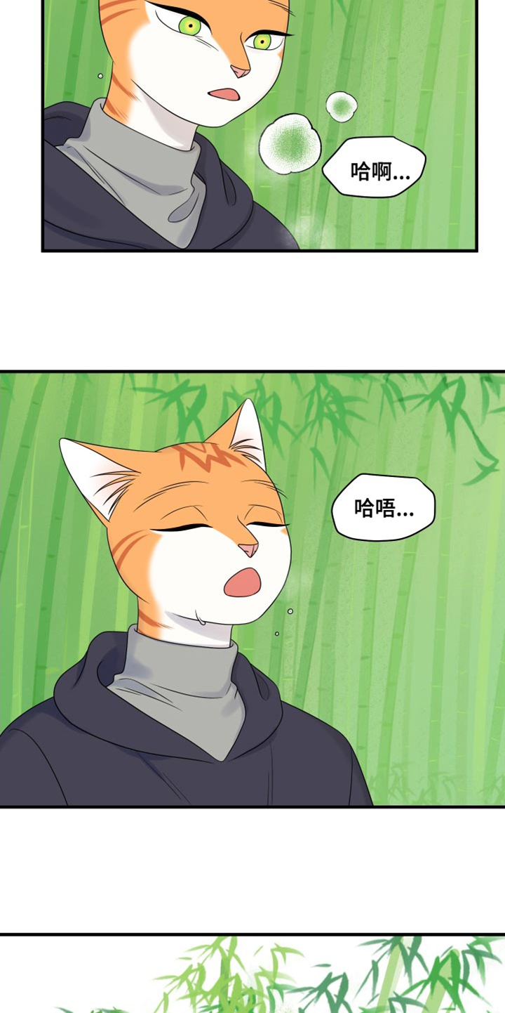 《灵猫欧米伽》漫画最新章节第98章：【第二季】想回去免费下拉式在线观看章节第【9】张图片