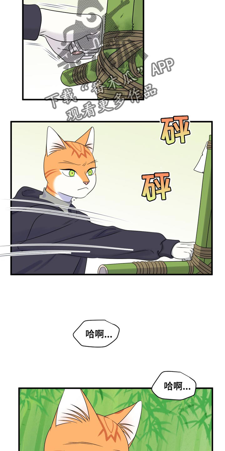 《灵猫欧米伽》漫画最新章节第98章：【第二季】想回去免费下拉式在线观看章节第【10】张图片