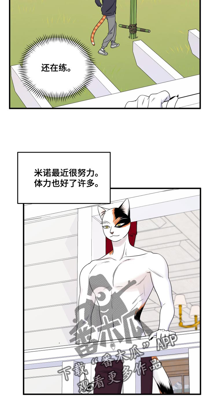 《灵猫欧米伽》漫画最新章节第98章：【第二季】想回去免费下拉式在线观看章节第【13】张图片