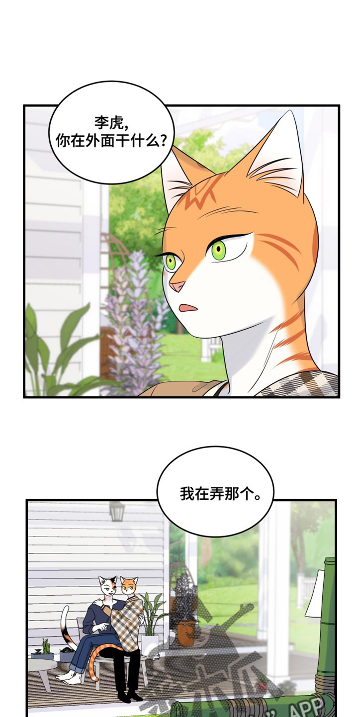 灵猫欧米伽-第98章：【第二季】想回去全彩韩漫标签