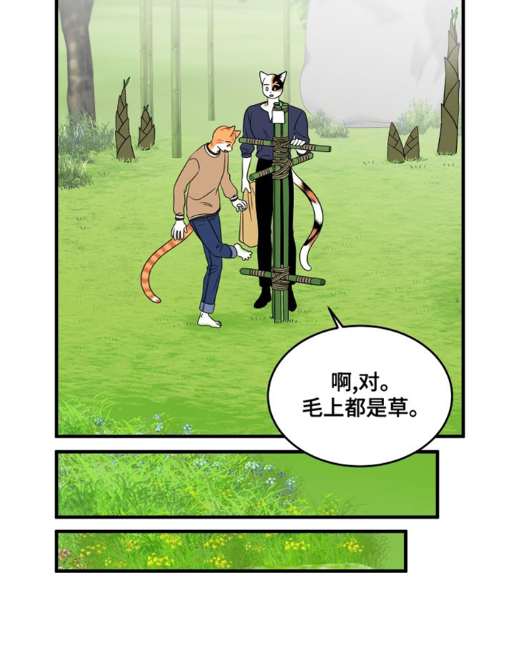 《灵猫欧米伽》漫画最新章节第98章：【第二季】想回去免费下拉式在线观看章节第【20】张图片