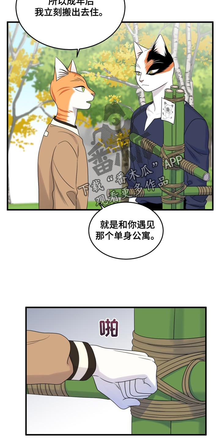 《灵猫欧米伽》漫画最新章节第98章：【第二季】想回去免费下拉式在线观看章节第【22】张图片