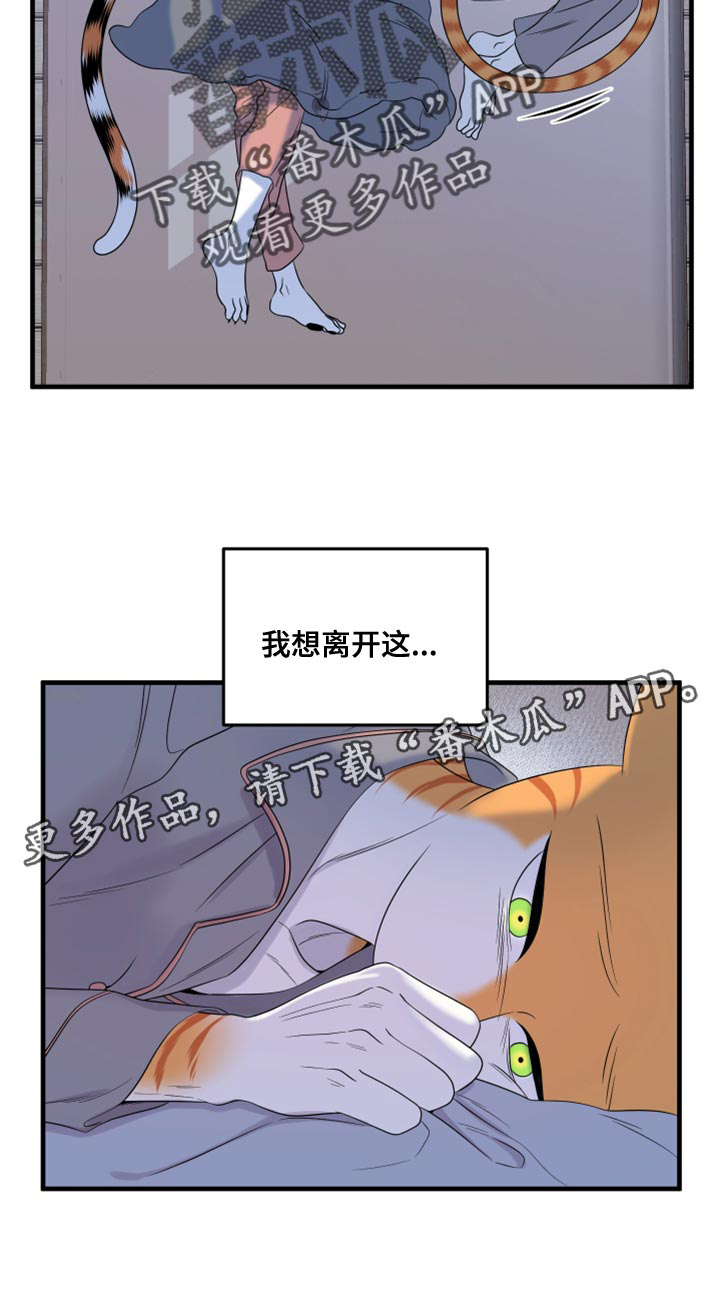 《灵猫欧米伽》漫画最新章节第99章：【第二季】我想离开这免费下拉式在线观看章节第【1】张图片