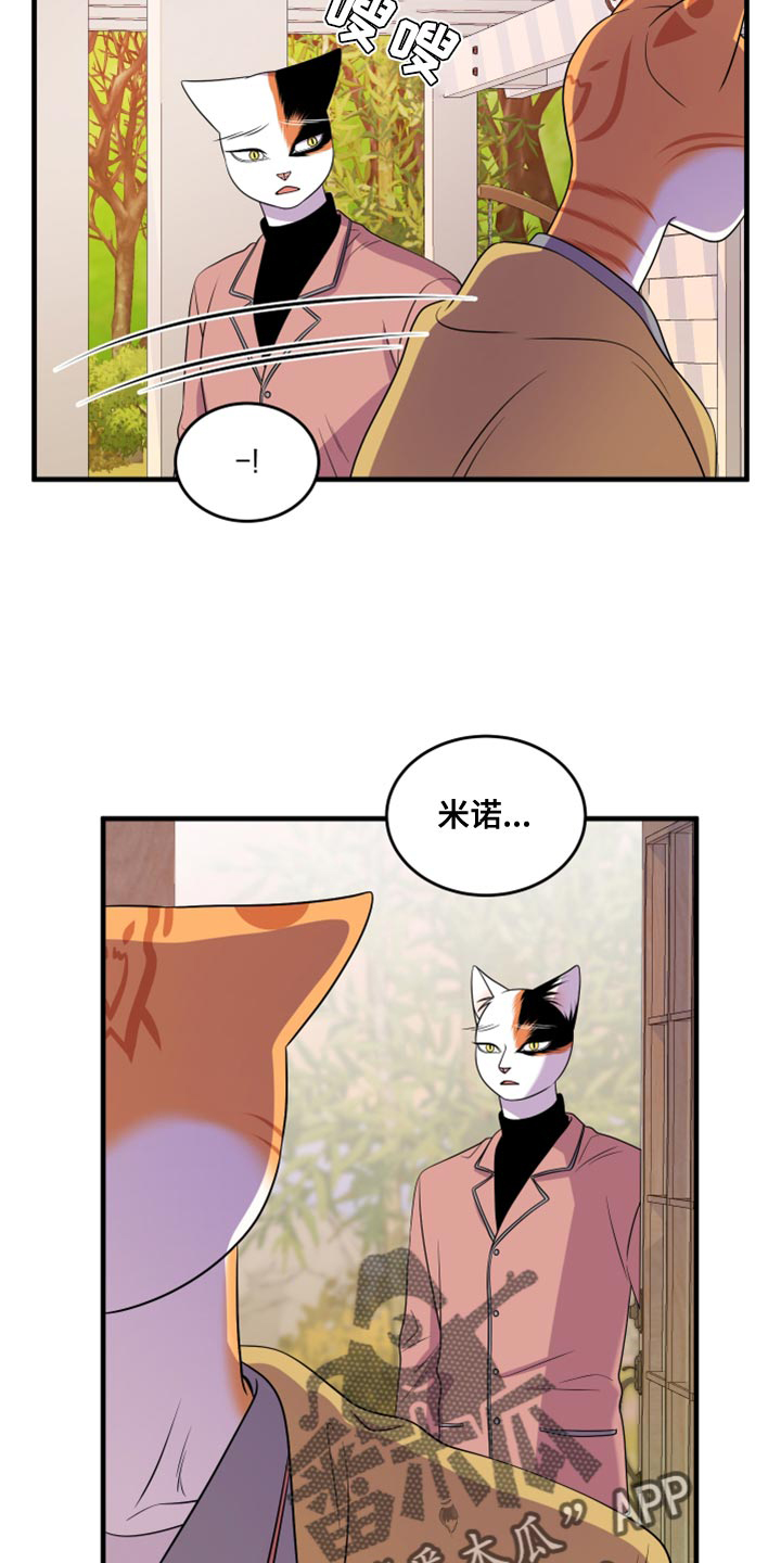 《灵猫欧米伽》漫画最新章节第99章：【第二季】我想离开这免费下拉式在线观看章节第【4】张图片