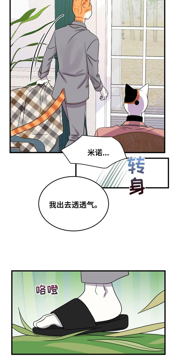 《灵猫欧米伽》漫画最新章节第99章：【第二季】我想离开这免费下拉式在线观看章节第【14】张图片