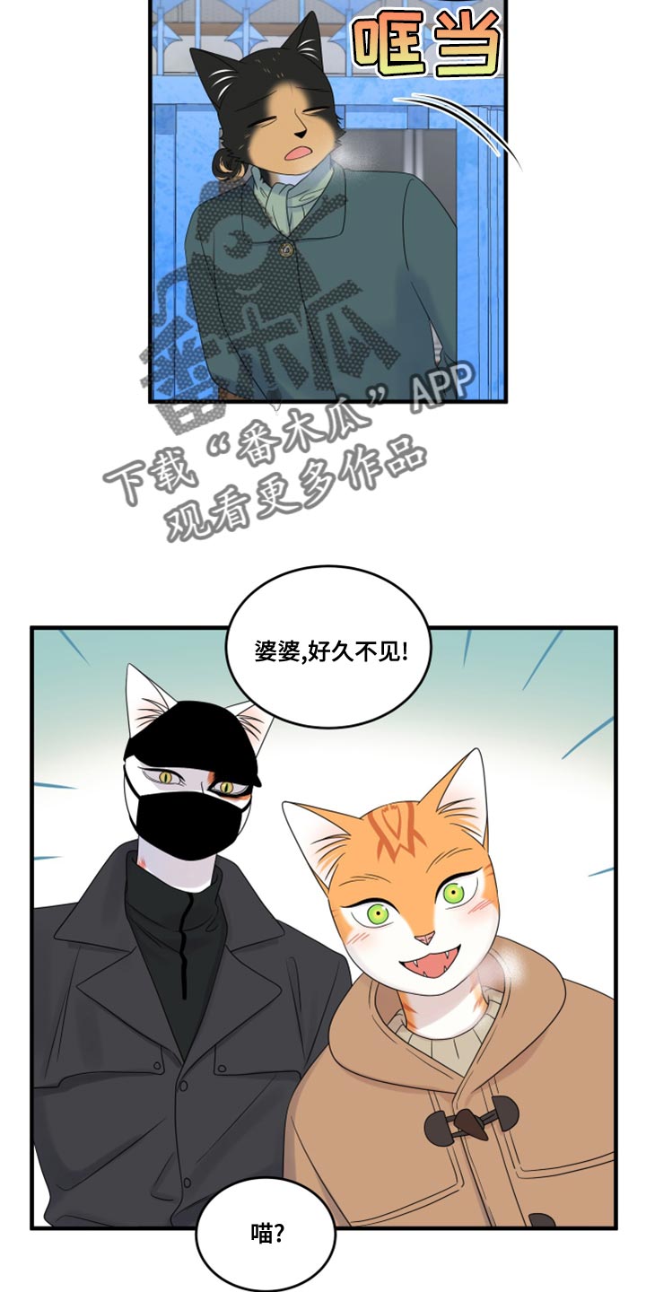 灵猫欧米伽-第101章：【第二季】郁闷的心情都消失了全彩韩漫标签
