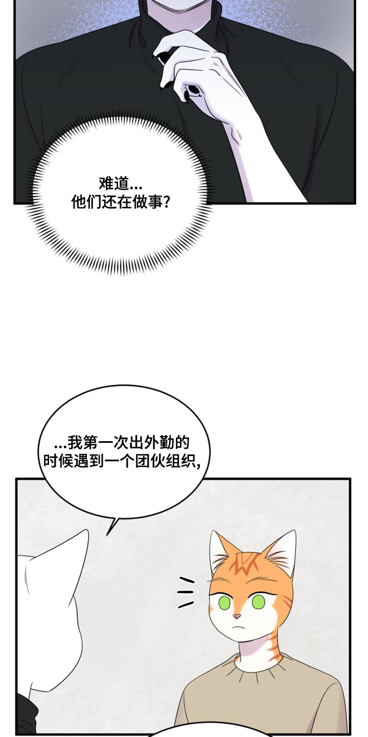 《灵猫欧米伽》漫画最新章节第102章：【第二季】不想困着你免费下拉式在线观看章节第【7】张图片