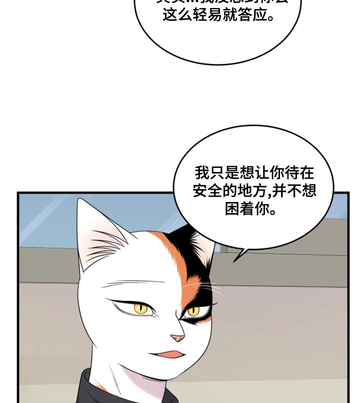 《灵猫欧米伽》漫画最新章节第102章：【第二季】不想困着你免费下拉式在线观看章节第【12】张图片