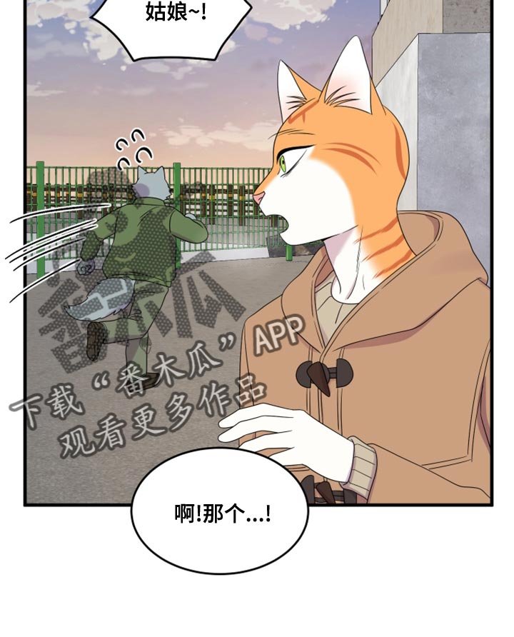 《灵猫欧米伽》漫画最新章节第102章：【第二季】不想困着你免费下拉式在线观看章节第【19】张图片