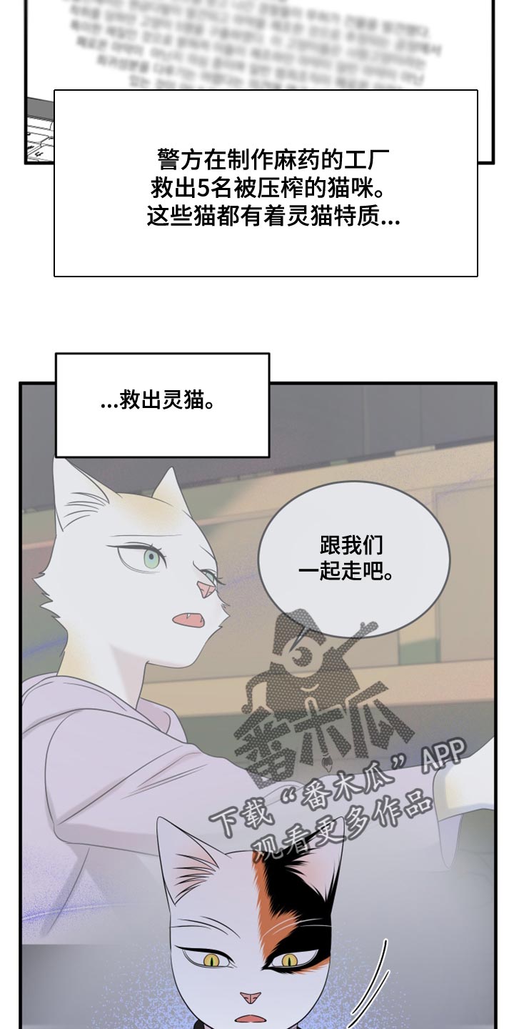 《灵猫欧米伽》漫画最新章节第102章：【第二季】不想困着你免费下拉式在线观看章节第【8】张图片