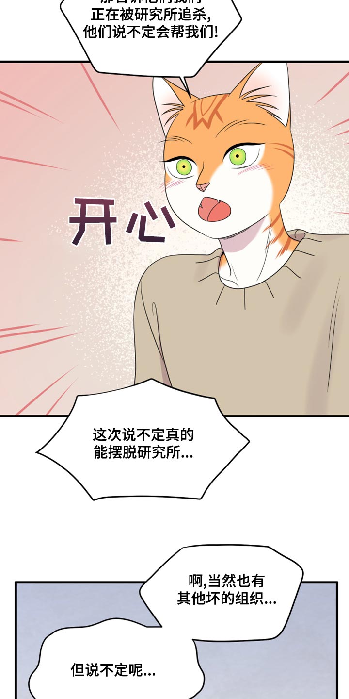 《灵猫欧米伽》漫画最新章节第102章：【第二季】不想困着你免费下拉式在线观看章节第【4】张图片