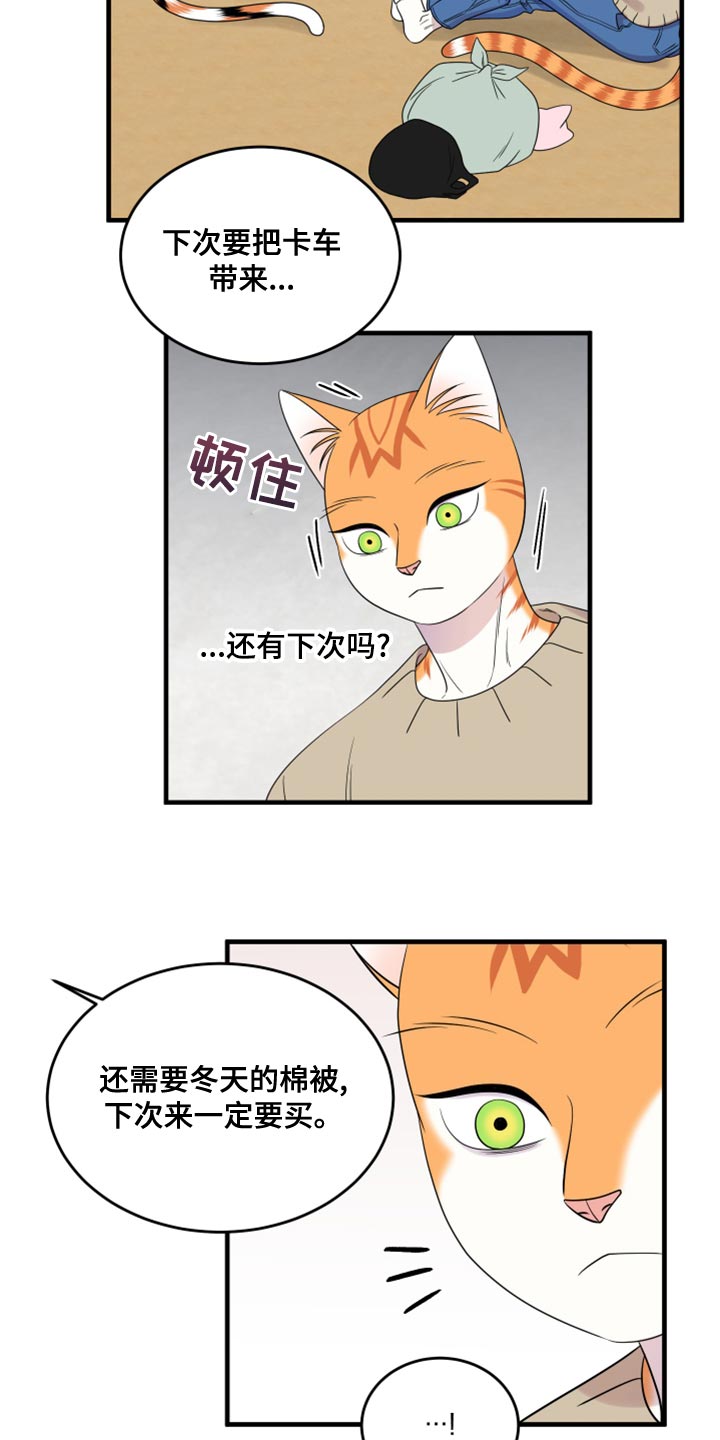 《灵猫欧米伽》漫画最新章节第102章：【第二季】不想困着你免费下拉式在线观看章节第【15】张图片