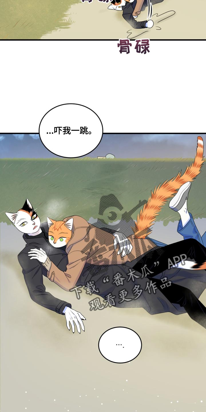 《灵猫欧米伽》漫画最新章节第103章：【第二季】你身上有香味免费下拉式在线观看章节第【5】张图片